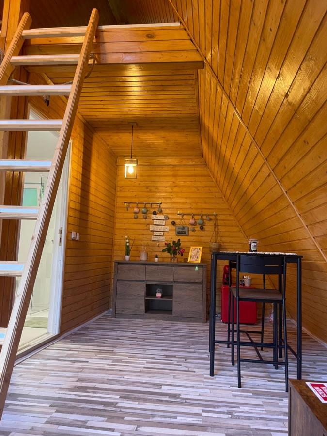 Cabane A-Frame Svinita Bagian luar foto