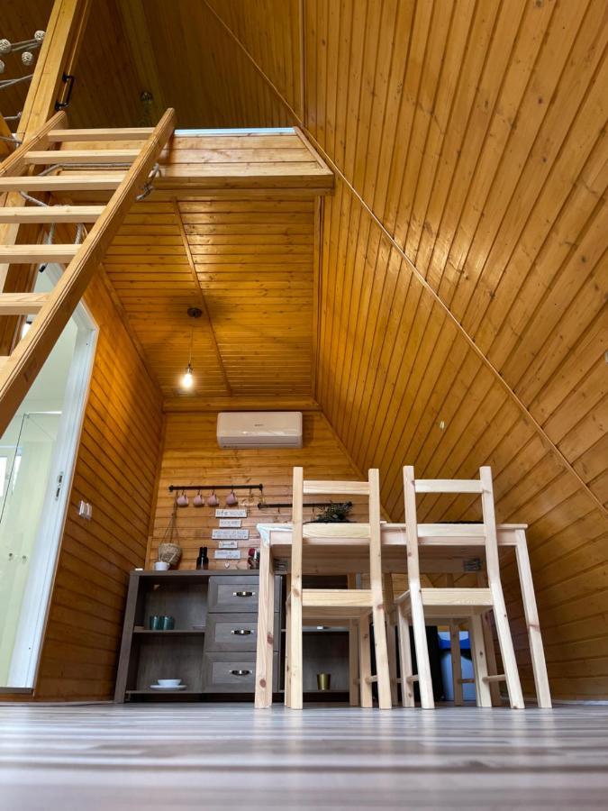 Cabane A-Frame Svinita Bagian luar foto