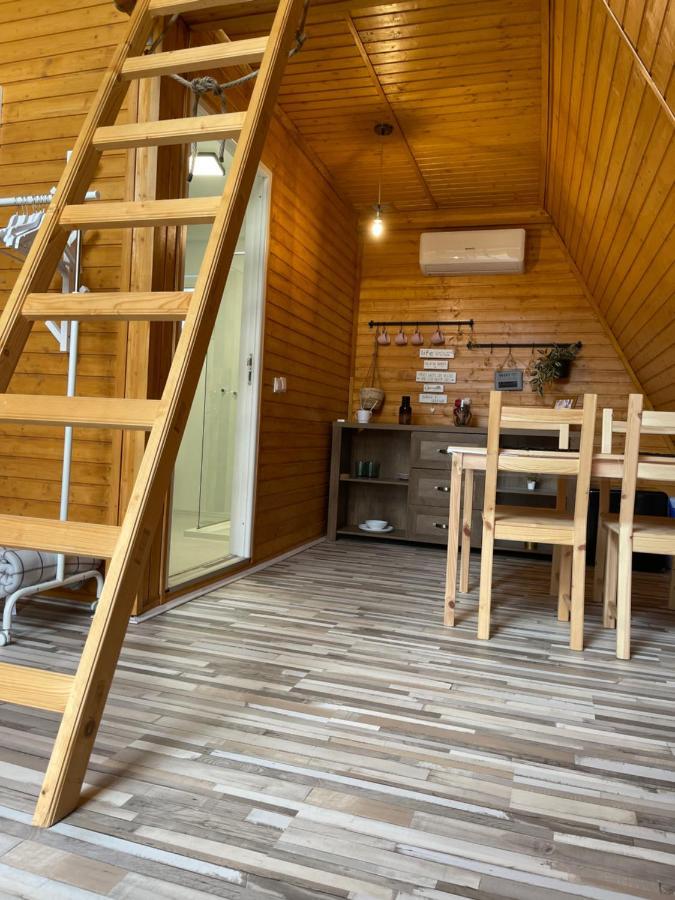 Cabane A-Frame Svinita Bagian luar foto