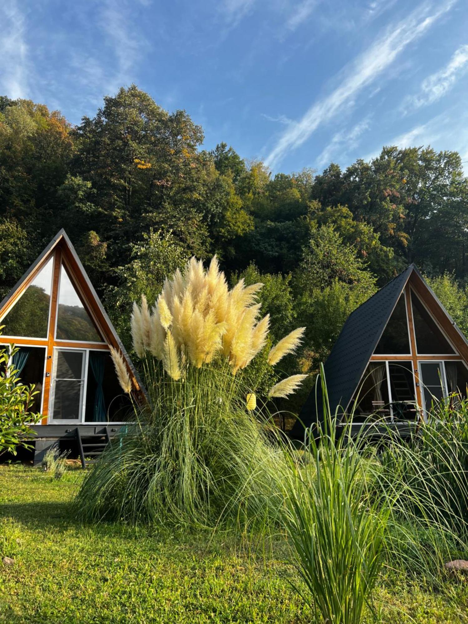 Cabane A-Frame Svinita Bagian luar foto