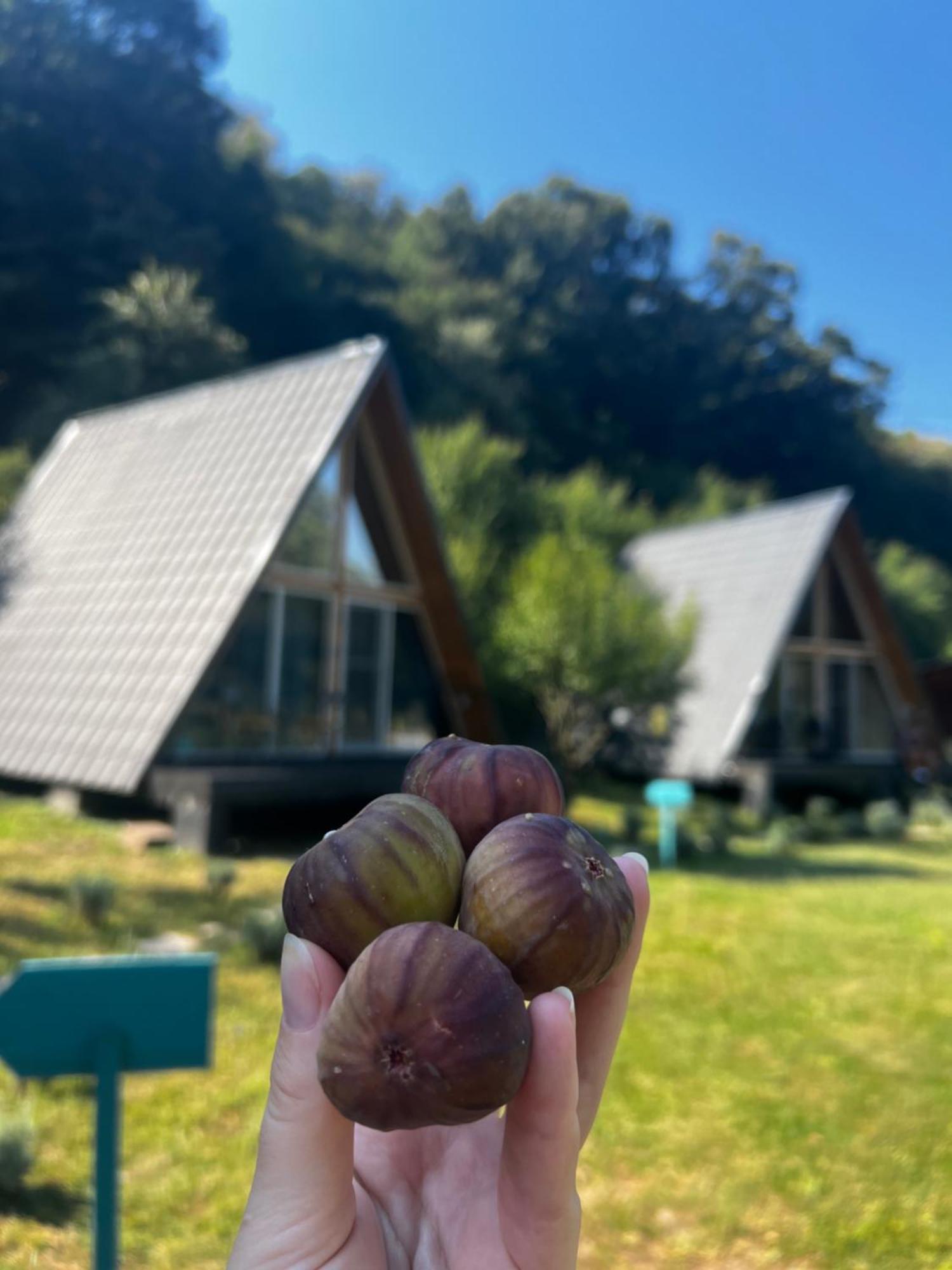 Cabane A-Frame Svinita Bagian luar foto