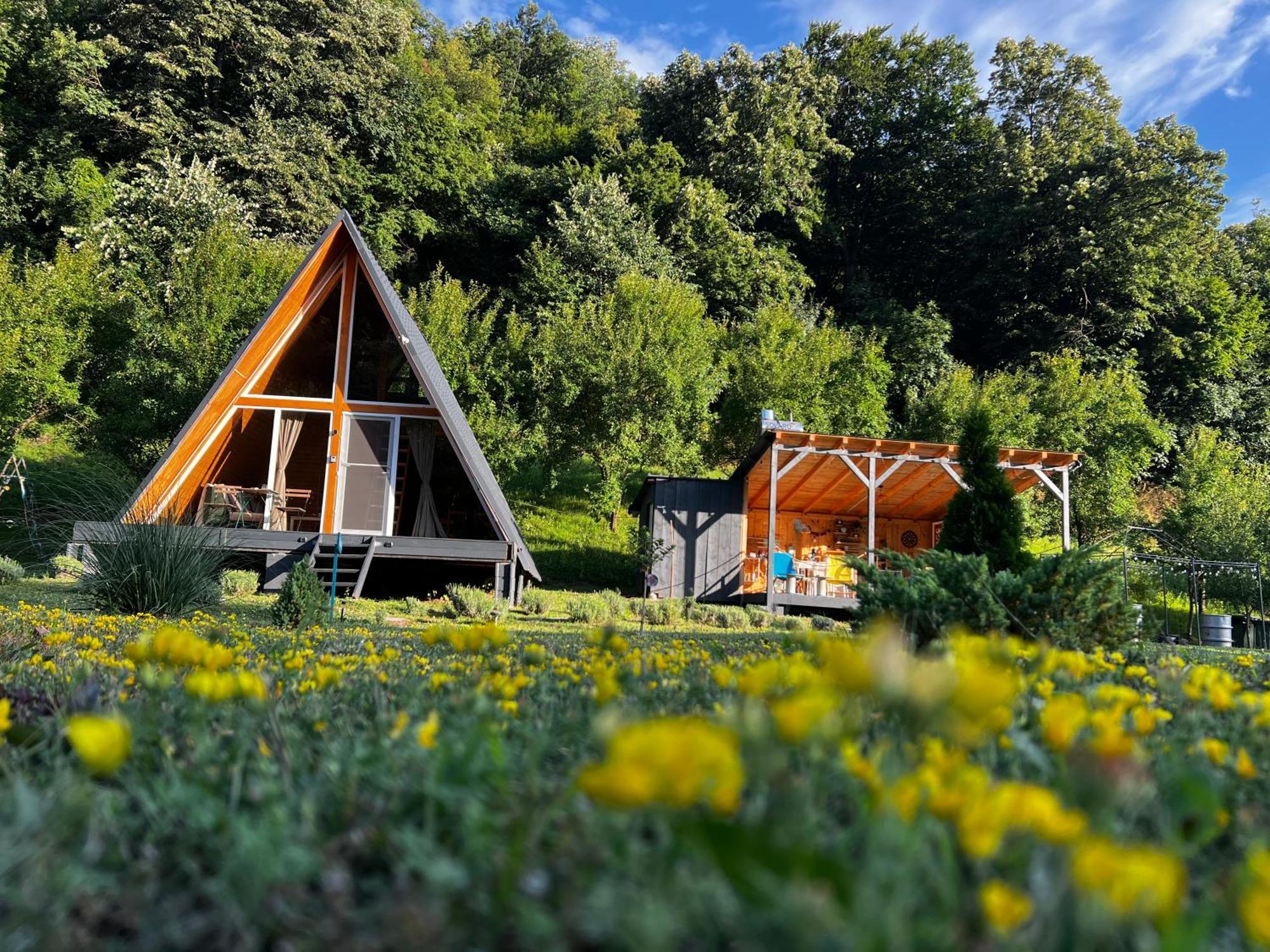 Cabane A-Frame Svinita Bagian luar foto